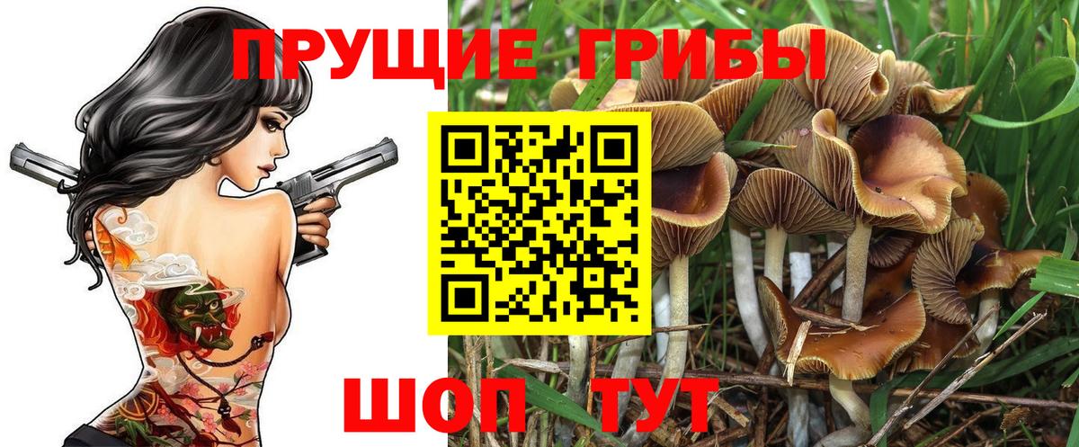 Псилоцибиновые грибы ЛСД Вологда