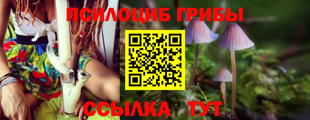 Вологда  Псилоцибиновые грибы Psilocybine cubensis  Вход с VPN 